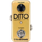 Ditto Looper Gold